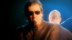 Alain Bashung - Volontaire