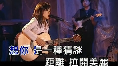 蔡健雅 - 想你