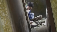 关淑怡 - 患难建真情
