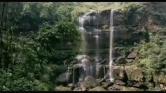 音乐短片 - 竹韵