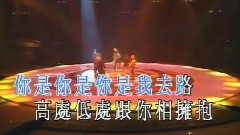 谭咏麟 - 路叠路