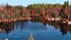 音乐短片 - 情深深雨蒙蒙