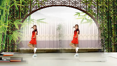 舞蹈视频 - 我想去印度