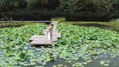Babysoul(Lovelyz),Lovelyz,柳秀静(Lovelyz) - 今天也晴朗(Clean)