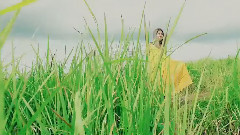 Suran - Paradise Go