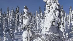 音乐短片 - SHOW ME 莫雅.布伦南