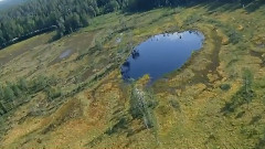 音乐短片 - 和我远走高飞