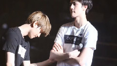 吴世勋(EXO),边伯贤(EXO),EXO - 捕捉两只小可爱