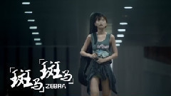 模仿翻唱 - 斑马斑马