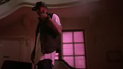 Black Kent - Tel-Ho