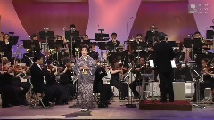 日本群星 - 岸壁の母
