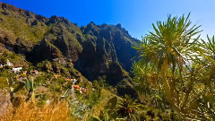 音乐短片 - 星空