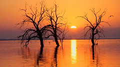 音乐短片 - Frederic