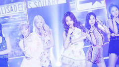 Stellar - 波斯猫