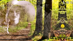 音乐短片 - 华丽的旋律 Великолепная мелодия