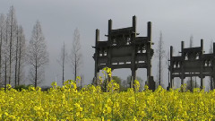 初音未来,音乐短片,轻音乐,风景 - 李白
