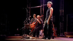 Caetano Veloso - Gatas Extraordinarias