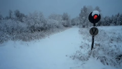 音乐短片 - 假如爱有天意(吟唱)