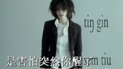 王菲 - DI-DAR