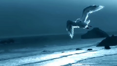 音乐短片 - Там нет меня