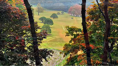 音乐短片 - Steve Barakatt Collection VIDEOARA