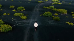 中村一义 - 世界は変わる