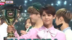 BEAST - Ribbon