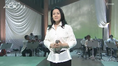 坂本冬美 - また君に恋してる