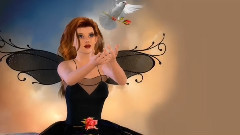 音乐短片 - Temple Of Love