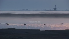 音乐短片 - 电影舍尔和街坊