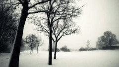 音乐短片 - 往事