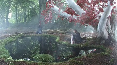 音乐短片 - Rebirth