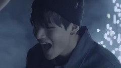 防弹少年团 - 花样年华