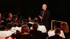 音乐短片 - 邓布利多军