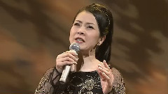 坂本冬美 - また君に恋してる