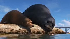 音乐短片 - Вы готовы отправиться в путешествие с Дори