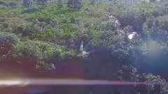 欧美群星 - Brilha Deus