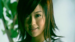 董敏莉 - 游客