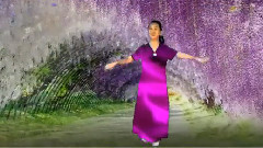 舞蹈视频 - 紫藤花