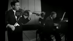 音乐短片 - E大调慢板 K261