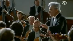 音乐短片 - E小调第五交响曲(No.5 Op.64)