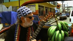 Willie Nelson - I'm A Worried Man