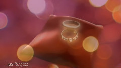 音乐短片 - Take My Hand (Album Echoes Of Love)