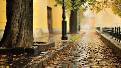 音乐短片 - Mamma(Album Romantico)