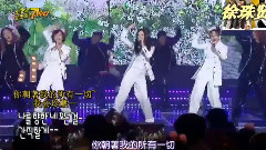 徐玄(少女时代),S.E.S - I'm Your Girl & 我爱你