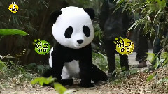 俞利(少女时代),少女时代 - Animals Yuri Cut