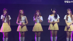 I.B.I - 如果樱花凋落