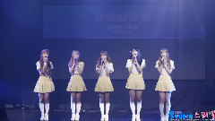 I.B.I - 如果樱花开