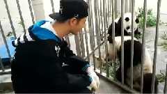 黄晓明 - 黄晓明出任首位