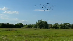 音乐短片 - If I Could See You Again